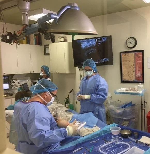 Guide to Vascular Surgery
